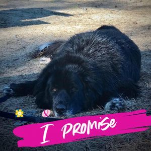 Meet your Posher, Nathalie